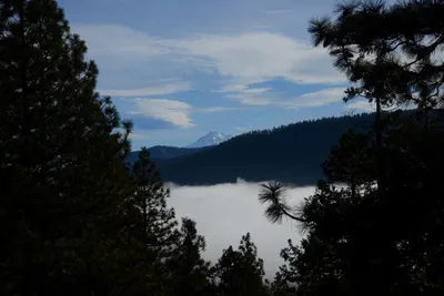 DSC_3154 (Large).JPG